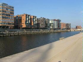 IMG_1106.jpg