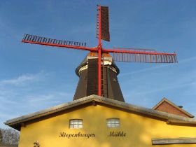 IMG_1465.jpg